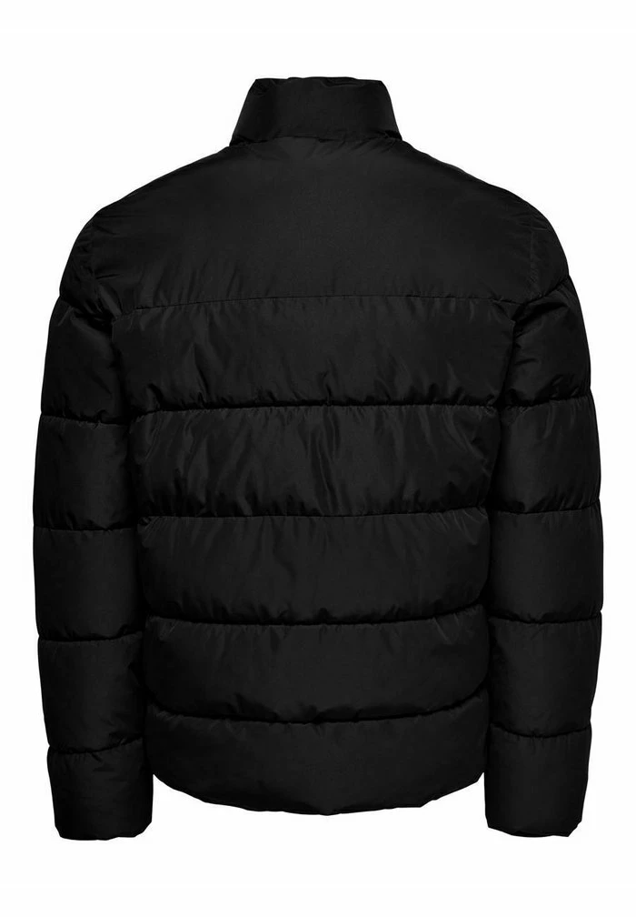 Only & Sons ONSMELVIN LIFE QUILTED - Winter Jacket - Black 4 Only & Sons ONSMELVIN LIFE QUILTED - Winter Jacket - Black - Image 2