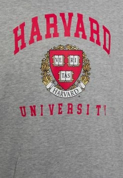 Only & Sons ONSHARVARD HOODIE UNISEX - Sweatshirt - Light Grey Melange -Only & Sons shop 93e97db9c328407e9faf1c072287102c