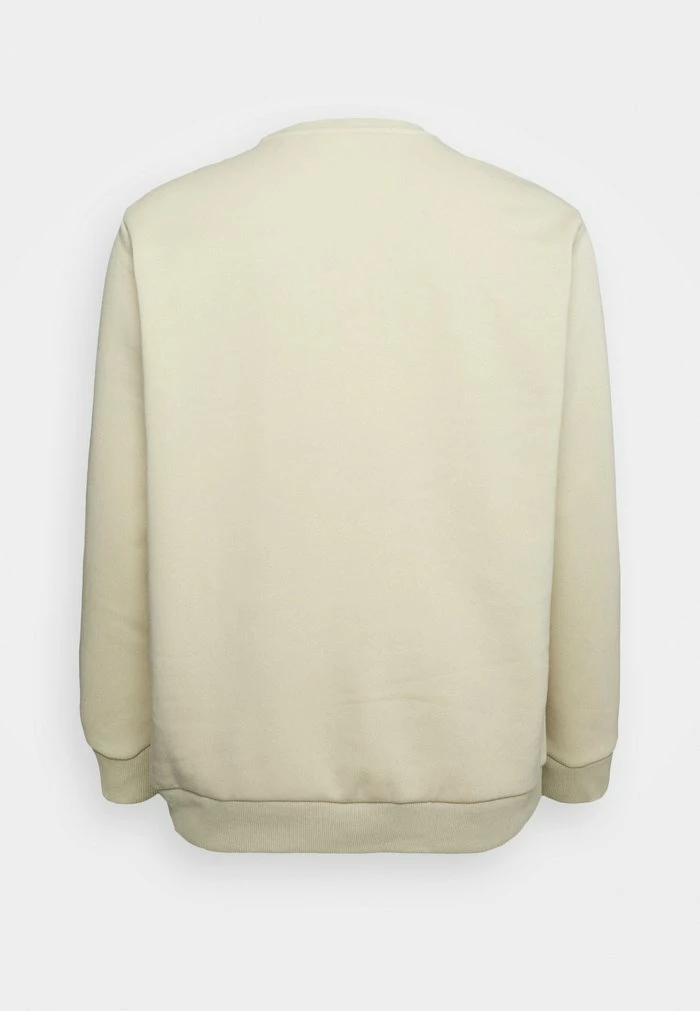 Only & Sons ONSCERES LIFE CREW NECK - Sweatshirt - Pelican 4 Only & Sons ONSCERES LIFE CREW NECK - Sweatshirt - Pelican - Image 2