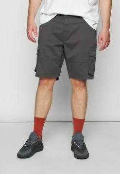 Only & Sons ONSCAM CARGO - Shorts - Grey -Only & Sons shop a602200407f54944855f307f35b193be