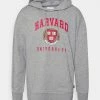 Only & Sons ONSHARVARD HOODIE UNISEX - Sweatshirt - Light Grey Melange -Only & Sons shop b7d71abc70e14088aefe03a2b83a7f5c