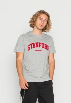 Only & Sons ONSJAKE REG STANFORD TEE - Print T-shirt - Light Grey Melange